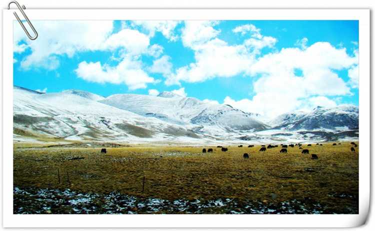 摄影作品欣赏 西藏沿途 - 视频教学 - http://club.798v.com